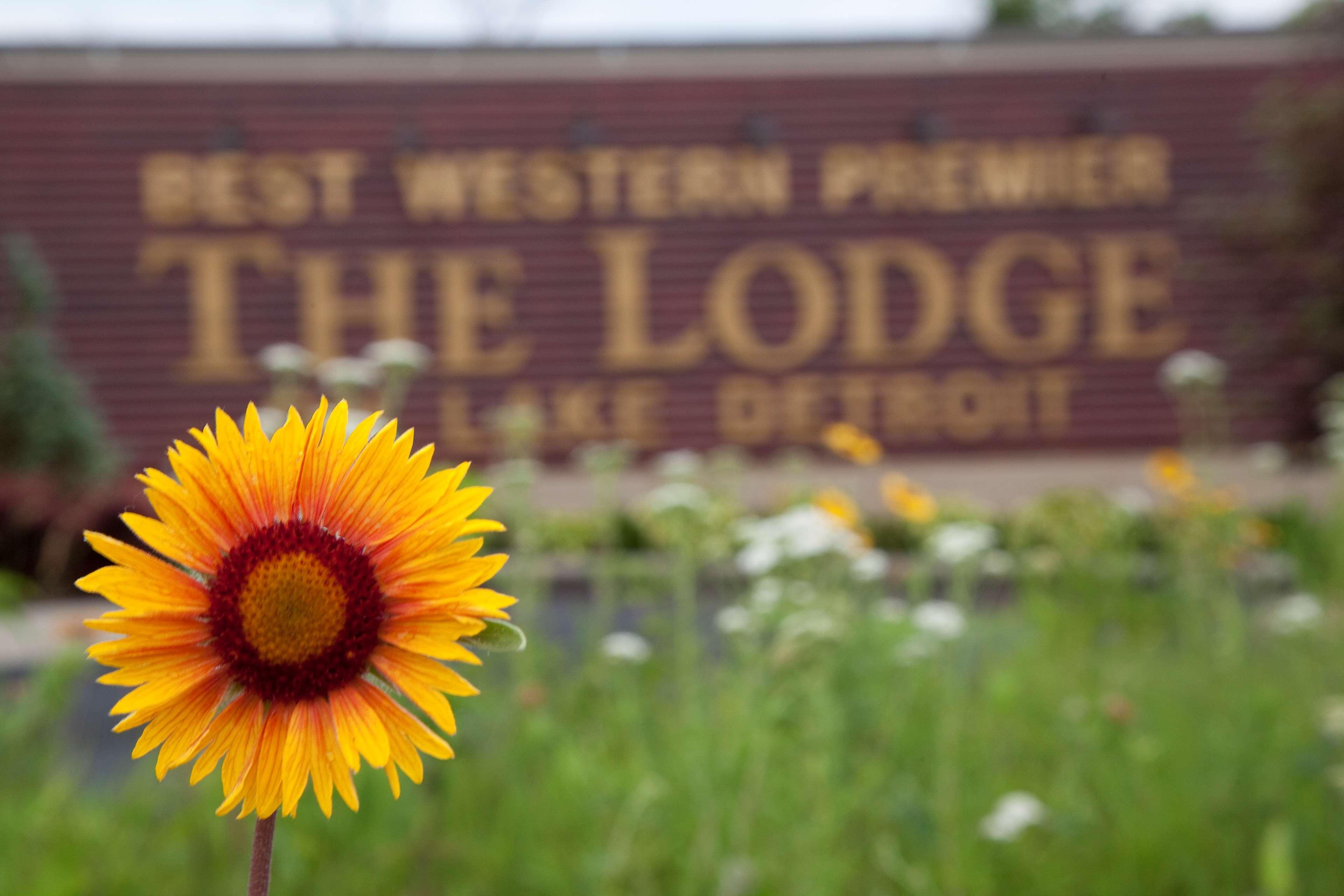 Best Western Premier The Lodge On Lake Detroit Detroit Lakes Bagian luar foto